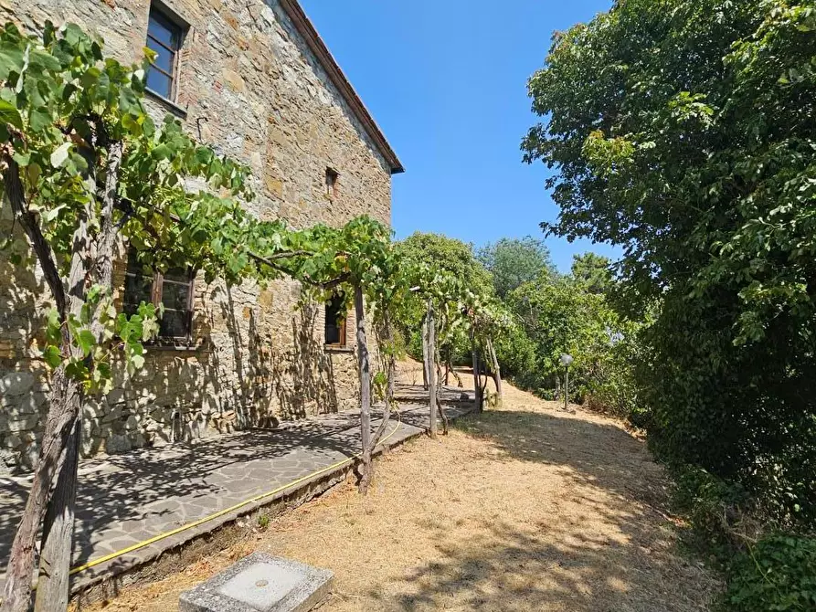 Immagine 4 di Rustico / casale in vendita  a Chianni