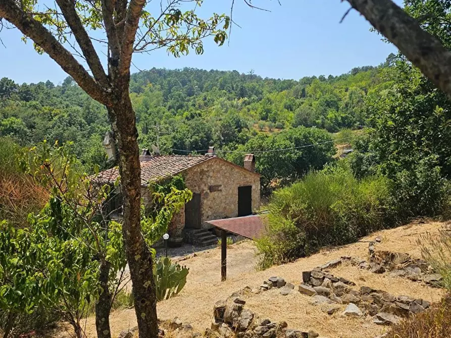 Immagine 15 di Rustico / casale in vendita  a Chianni
