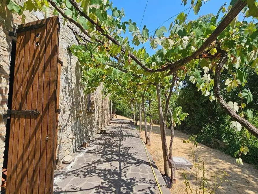 Immagine 6 di Rustico / casale in vendita  a Chianni