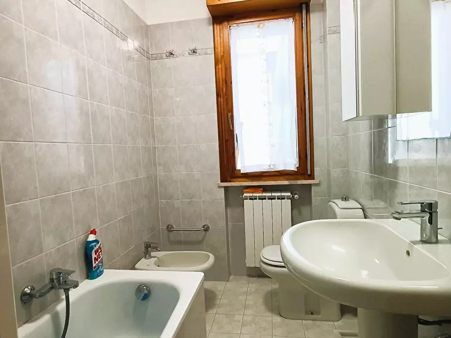 Immagine 18 di Appartamento in affitto  a Pisa