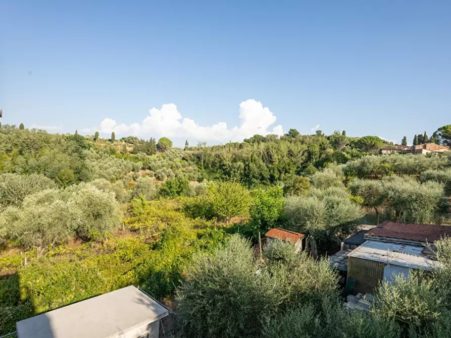 Immagine 48 di Villa in vendita  a Terricciola