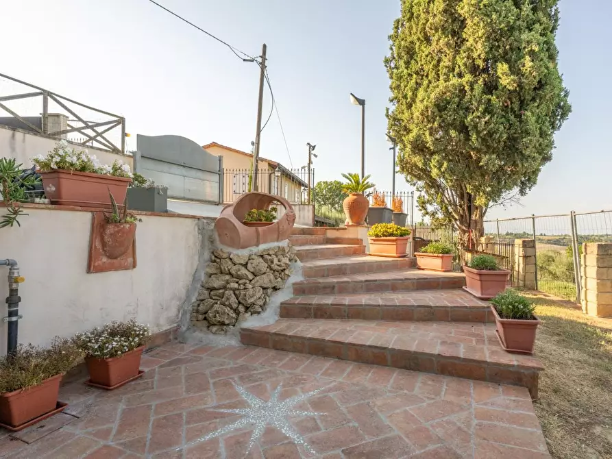 Immagine 51 di Villa in vendita  a Terricciola