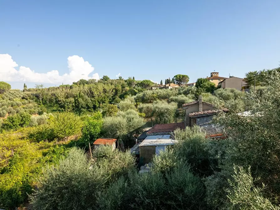Immagine 47 di Villa in vendita  a Terricciola