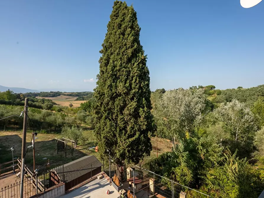 Immagine 46 di Villa in vendita  a Terricciola
