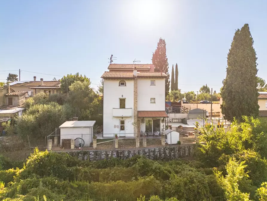 Immagine 49 di Villa in vendita  a Terricciola