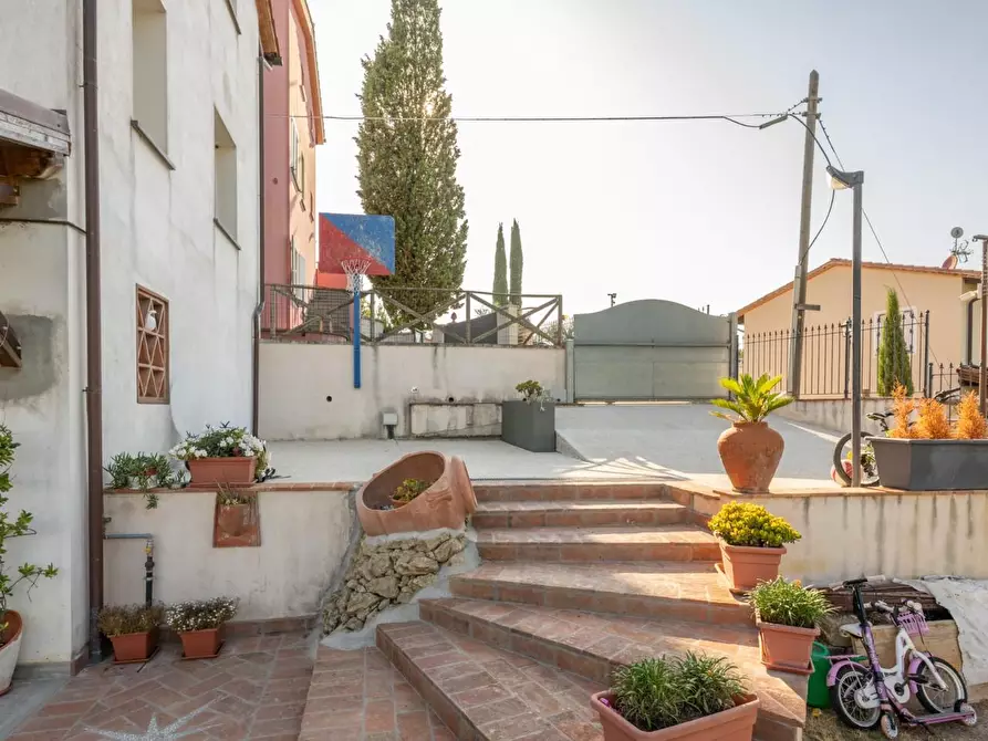 Immagine 50 di Villa in vendita  a Terricciola
