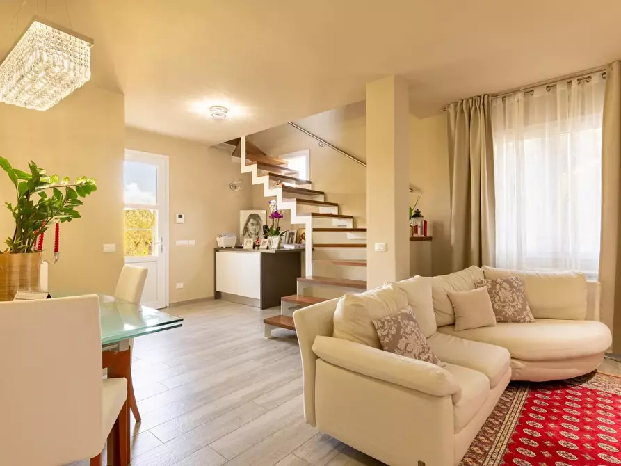Immagine 6 di Villa in vendita  a Terricciola