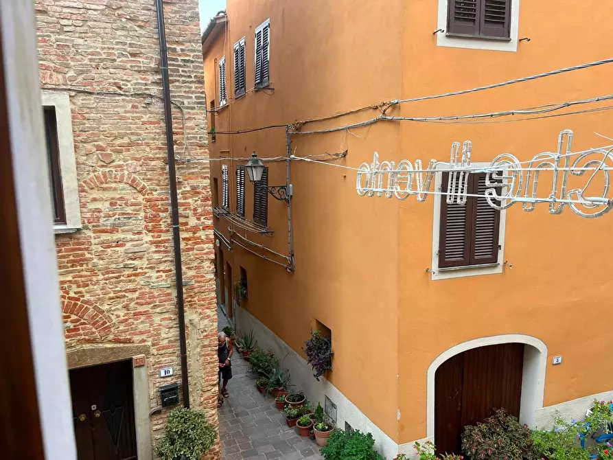 Immagine 8 di Terratetto in vendita  a Terricciola