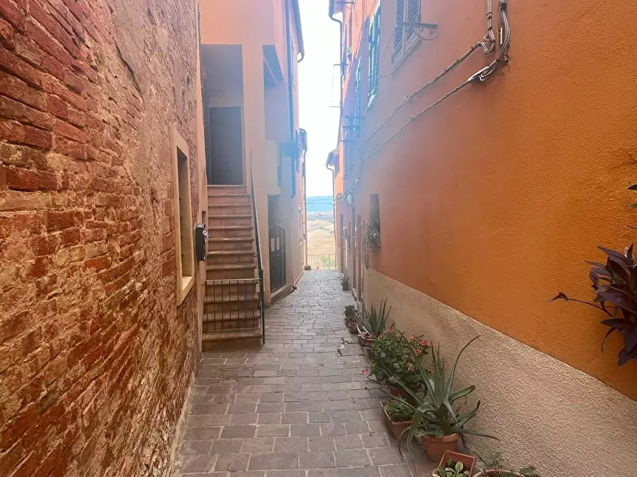 Immagine 3 di Terratetto in vendita  a Terricciola