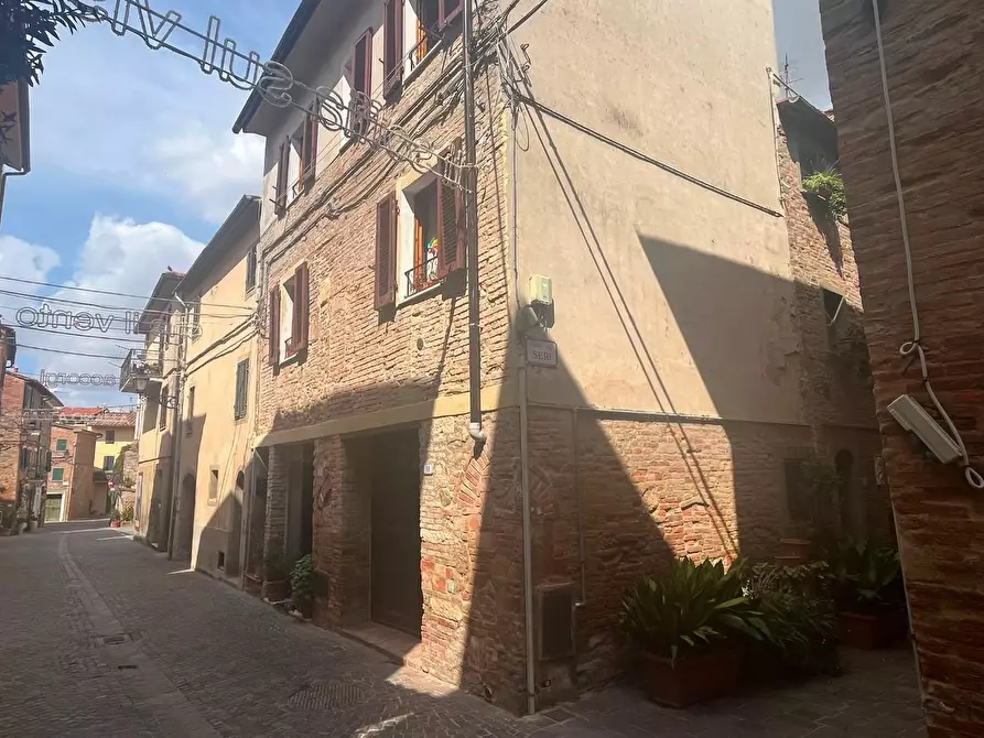 Immagine 5 di Terratetto in vendita  a Terricciola