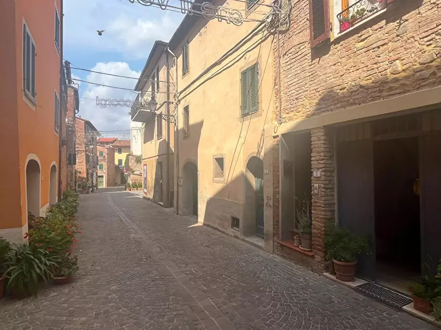 Immagine 4 di Terratetto in vendita  a Terricciola