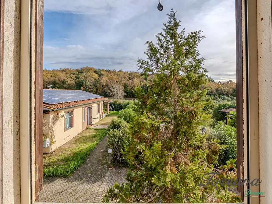 Immagine 74 di Rustico / casale in vendita  a Massa Marittima