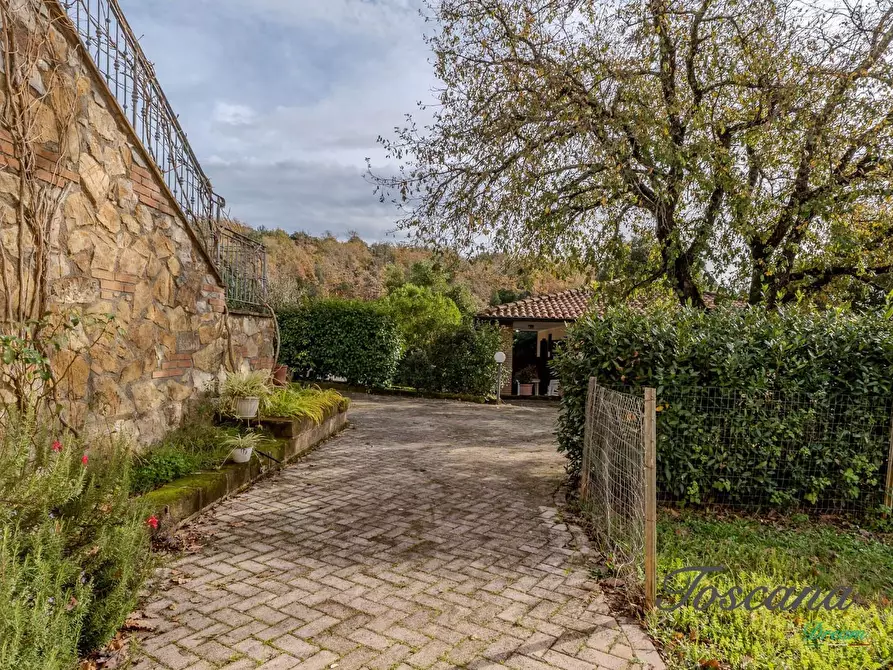 Immagine 80 di Rustico / casale in vendita  a Massa Marittima