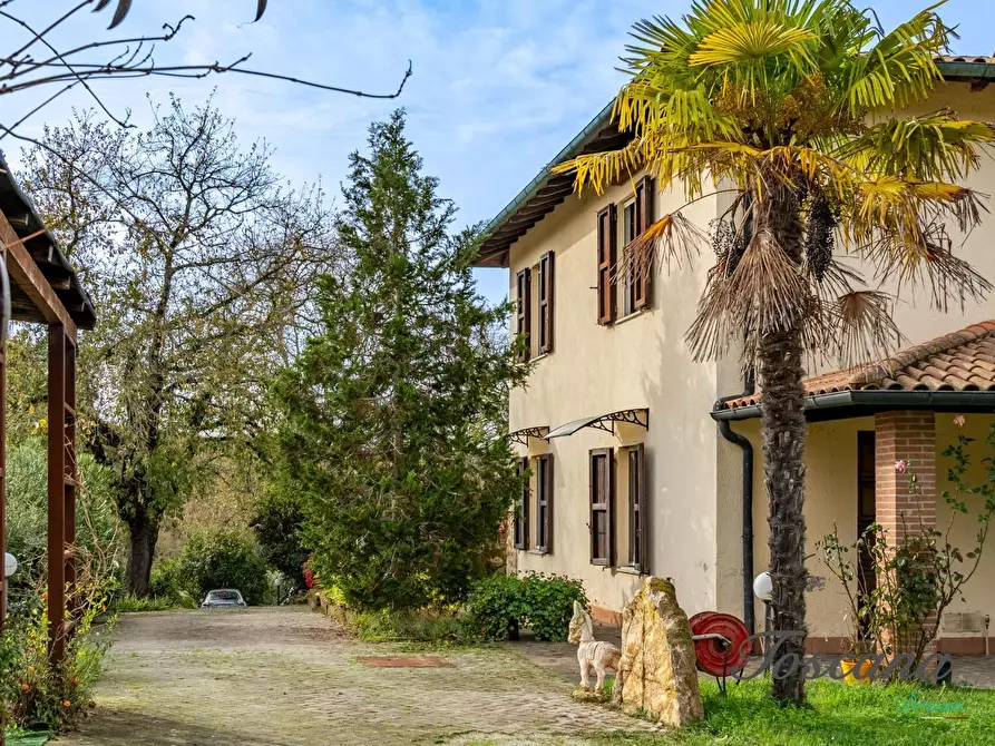 Immagine 20 di Rustico / casale in vendita  a Massa Marittima
