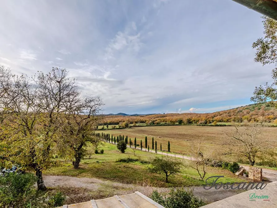 Immagine 52 di Rustico / casale in vendita  a Massa Marittima