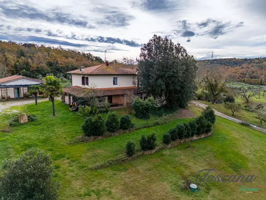 Immagine 10 di Rustico / casale in vendita  a Massa Marittima