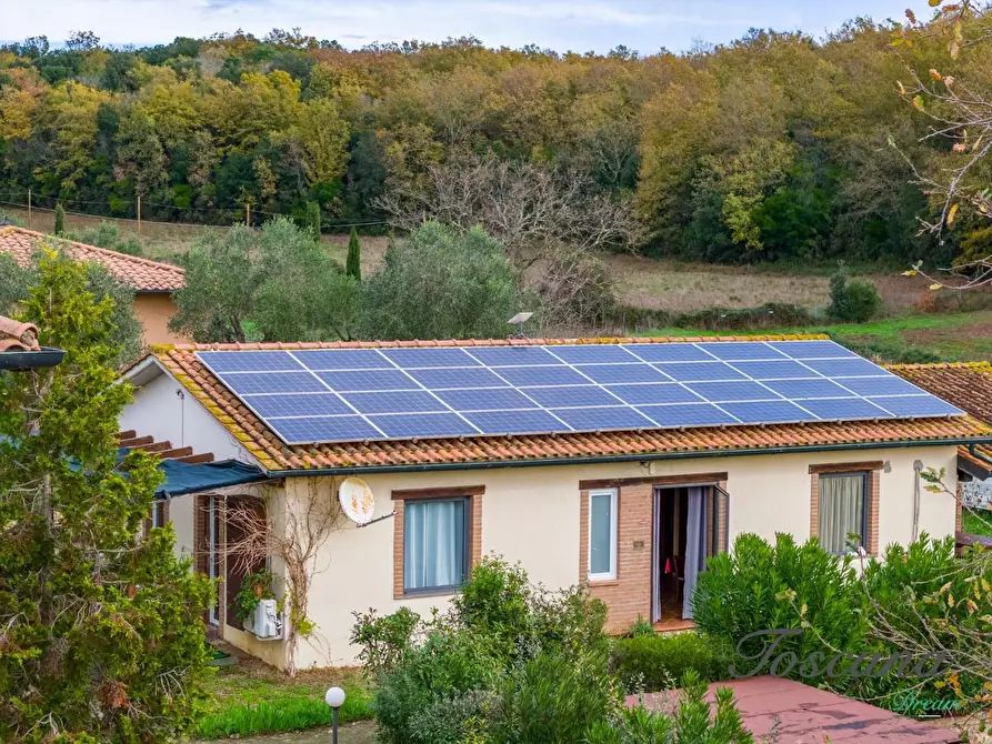 Immagine 7 di Rustico / casale in vendita  a Massa Marittima
