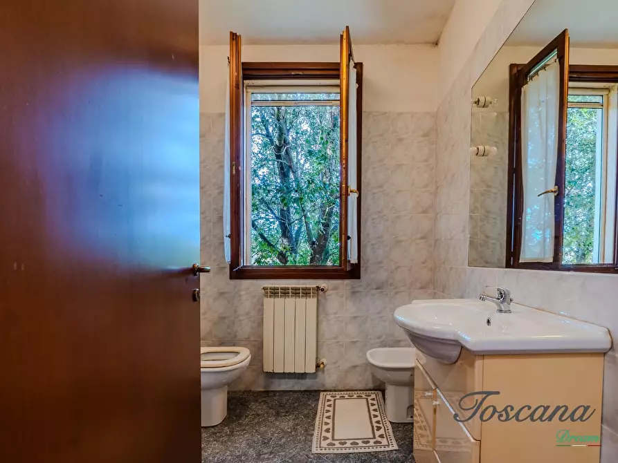 Immagine 56 di Rustico / casale in vendita  a Massa Marittima