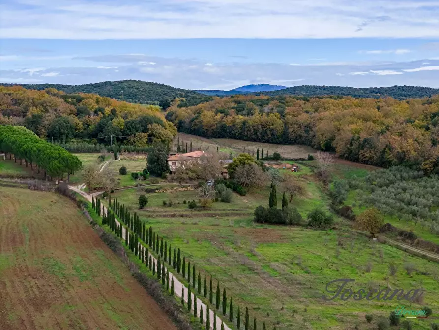 Immagine 4 di Rustico / casale in vendita  a Massa Marittima