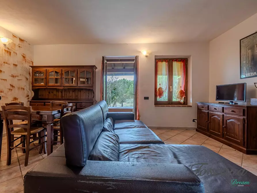Immagine 106 di Rustico / casale in vendita  a Massa Marittima
