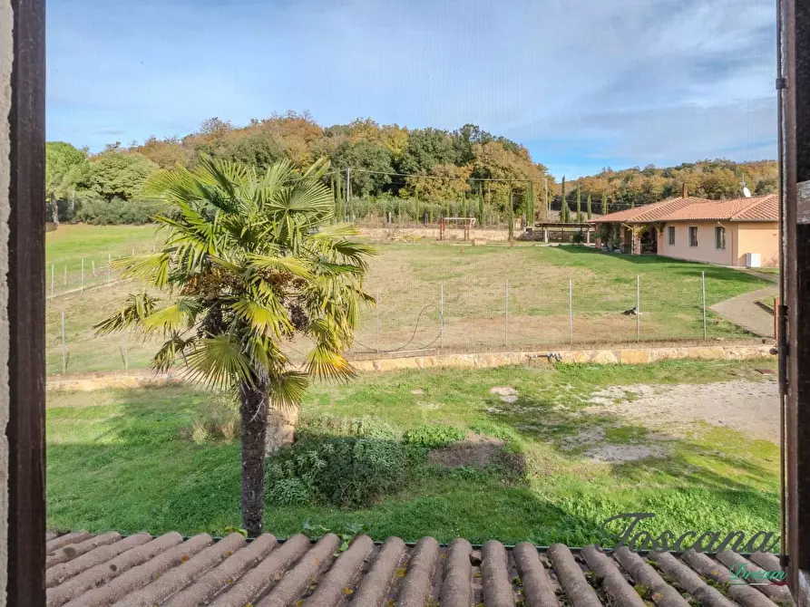 Immagine 67 di Rustico / casale in vendita  a Massa Marittima