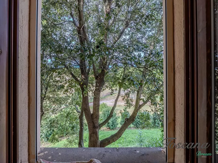 Immagine 58 di Rustico / casale in vendita  a Massa Marittima