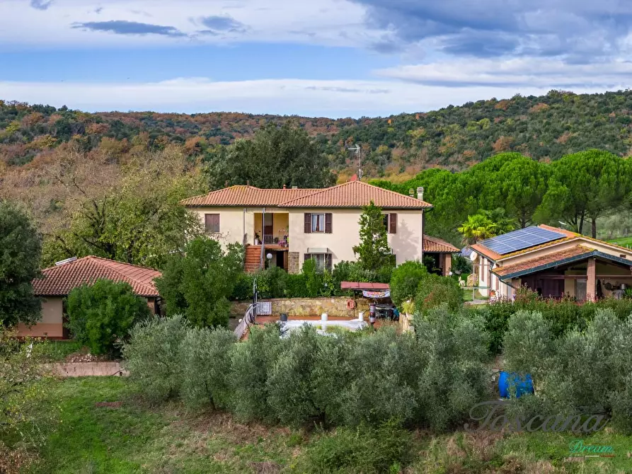 Immagine 13 di Rustico / casale in vendita  a Massa Marittima