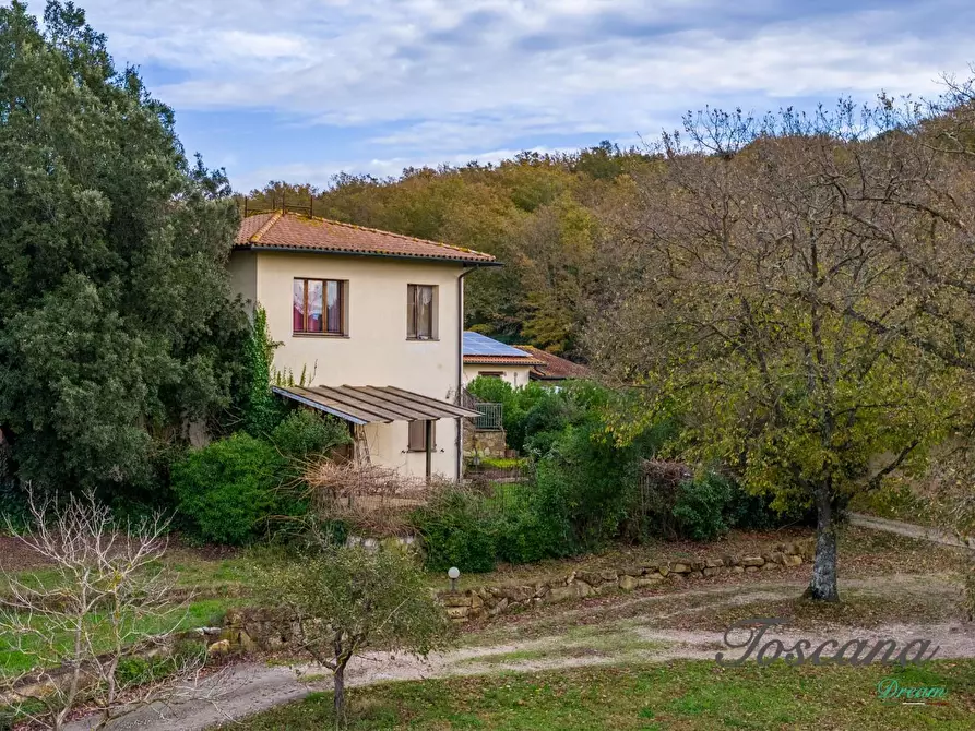 Immagine 6 di Rustico / casale in vendita  a Massa Marittima