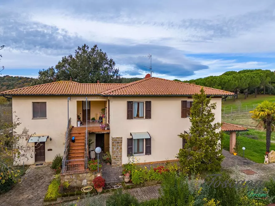 Immagine 8 di Rustico / casale in vendita  a Massa Marittima