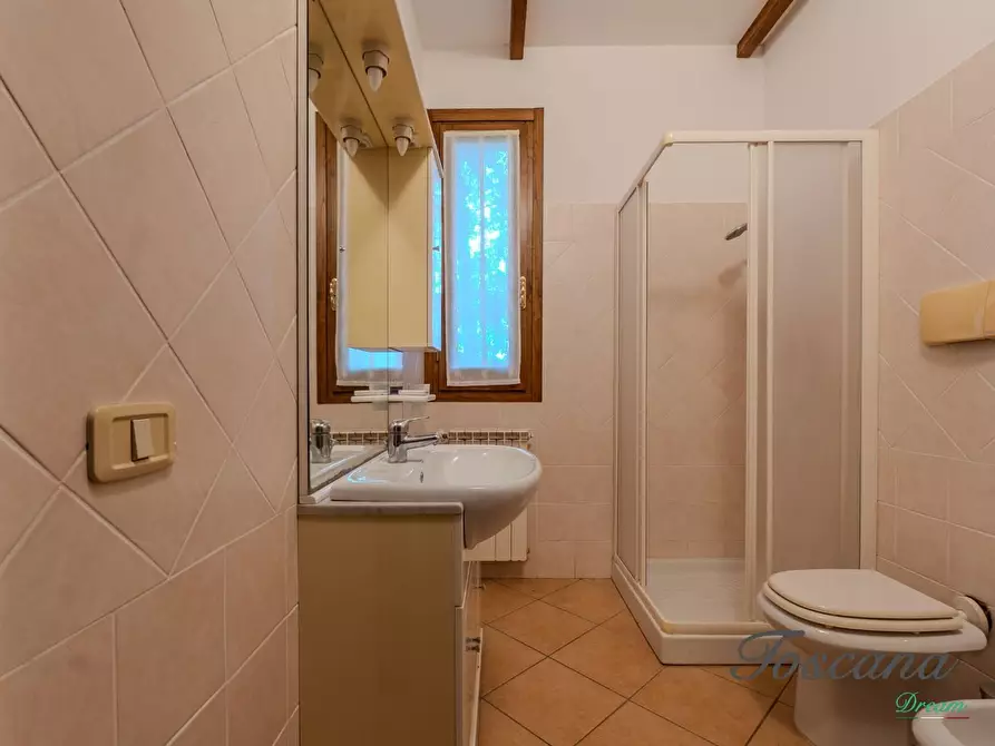 Immagine 96 di Rustico / casale in vendita  a Massa Marittima
