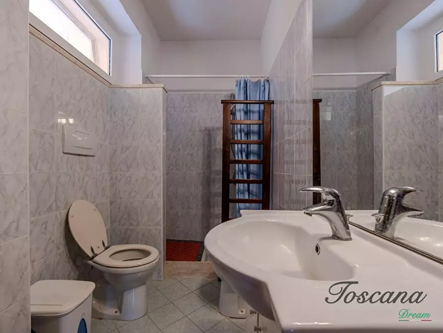 Immagine 77 di Rustico / casale in vendita  a Massa Marittima