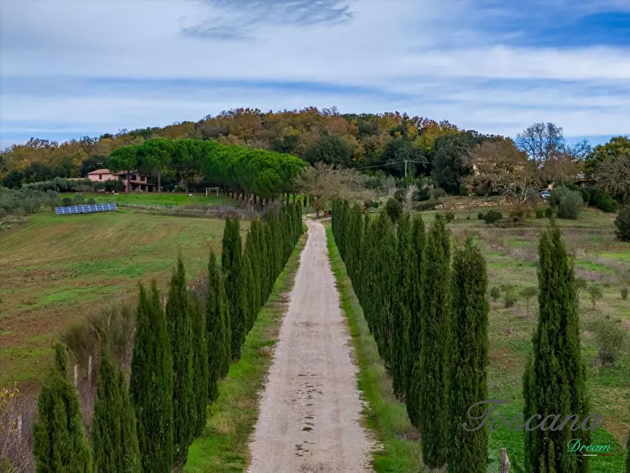 Immagine 5 di Rustico / casale in vendita  a Massa Marittima