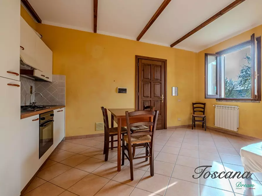 Immagine 83 di Rustico / casale in vendita  a Massa Marittima