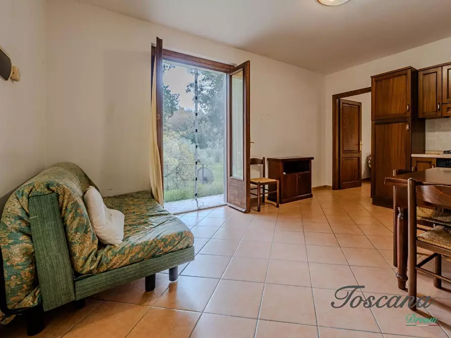 Immagine 26 di Rustico / casale in vendita  a Massa Marittima