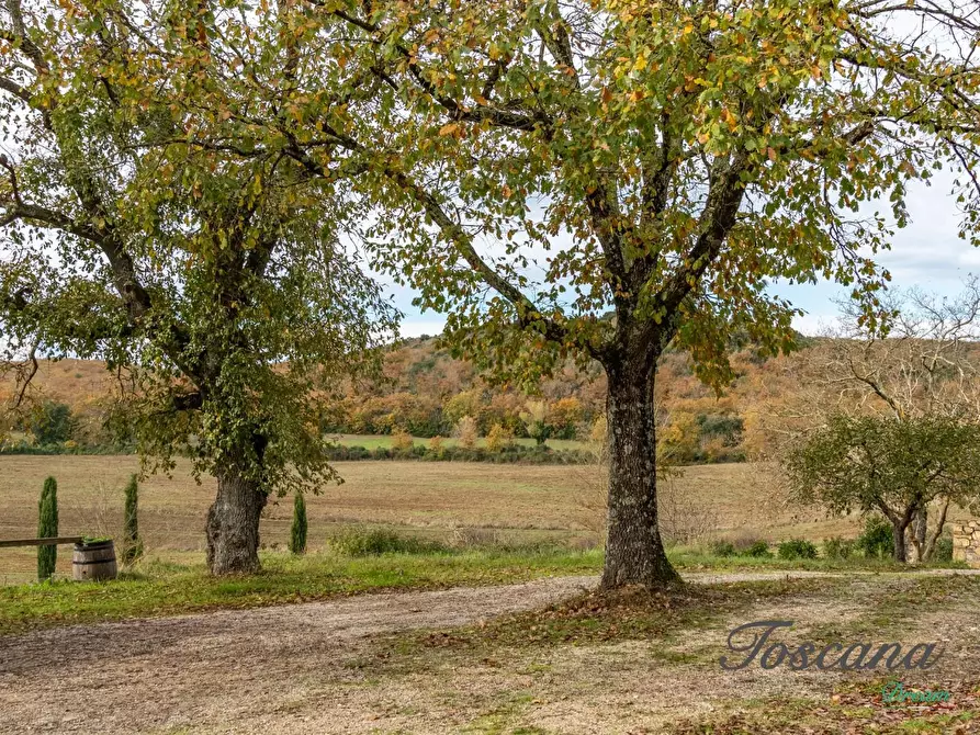 Immagine 18 di Rustico / casale in vendita  a Massa Marittima