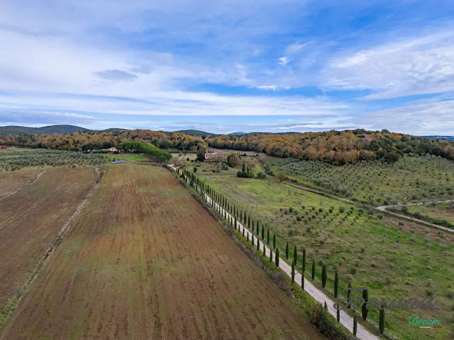 Immagine 3 di Rustico / casale in vendita  a Massa Marittima