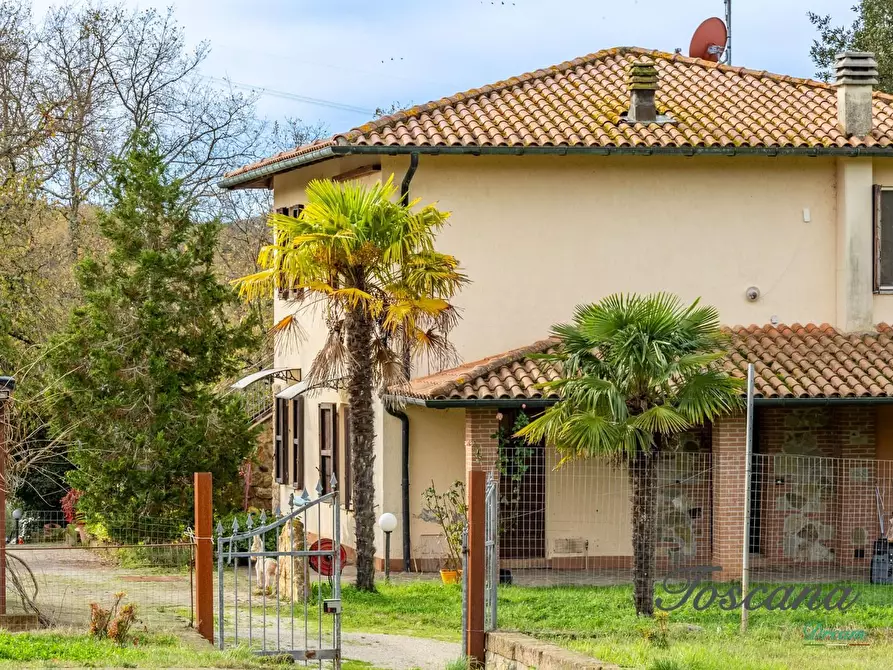 Immagine 21 di Rustico / casale in vendita  a Massa Marittima