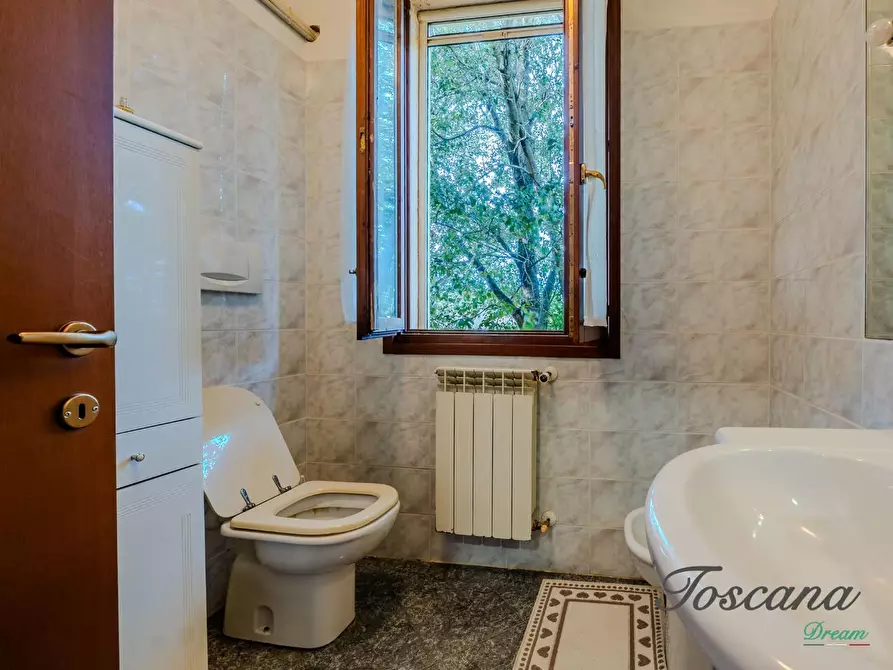 Immagine 57 di Rustico / casale in vendita  a Massa Marittima