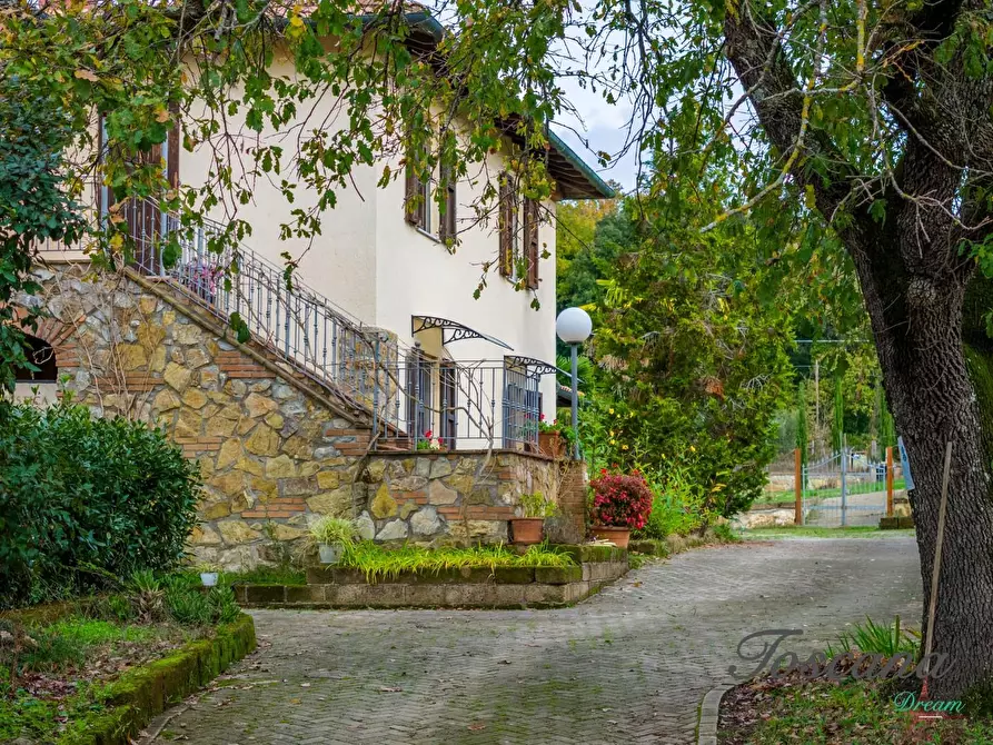 Immagine 12 di Rustico / casale in vendita  a Massa Marittima