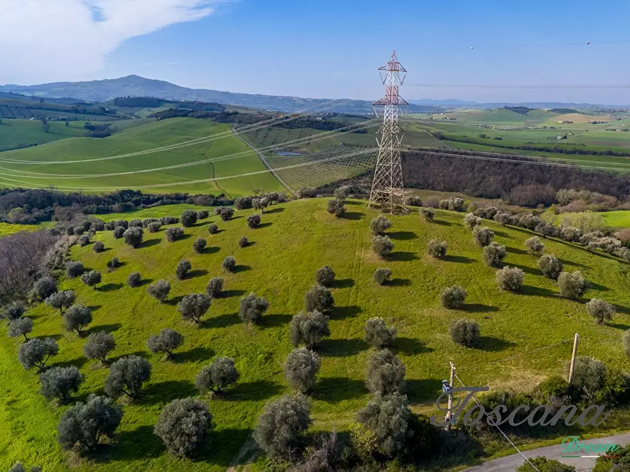 Immagine 8 di Casa colonica in vendita  a Campagnatico