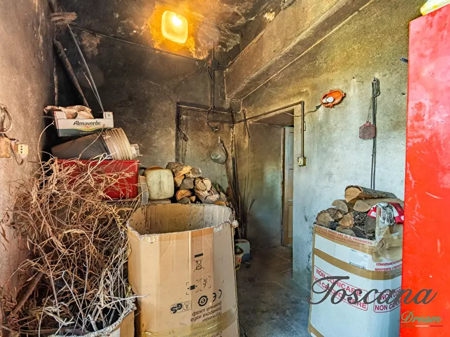Immagine 41 di Casa colonica in vendita  a Campagnatico