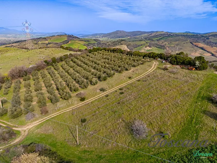 Immagine 10 di Casa colonica in vendita  a Campagnatico