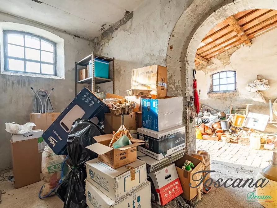 Immagine 24 di Casa colonica in vendita  a Campagnatico
