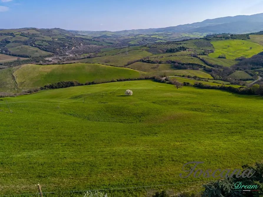 Immagine 11 di Casa colonica in vendita  a Campagnatico