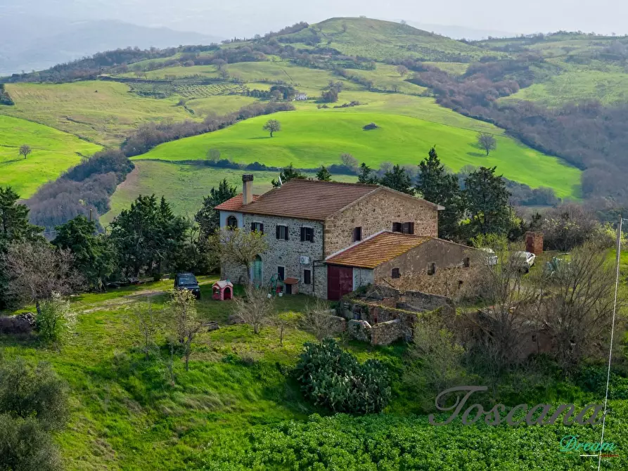 Immagine 6 di Casa colonica in vendita  a Campagnatico