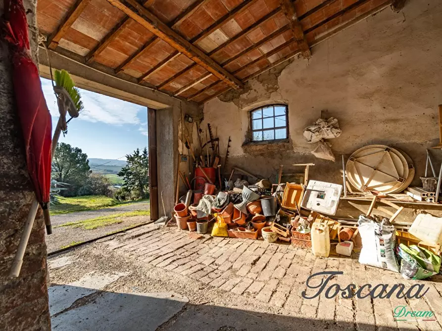 Immagine 18 di Casa colonica in vendita  a Campagnatico