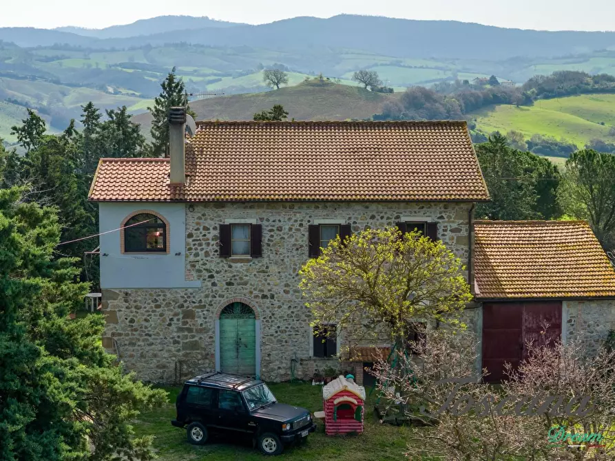 Immagine 15 di Casa colonica in vendita  a Campagnatico