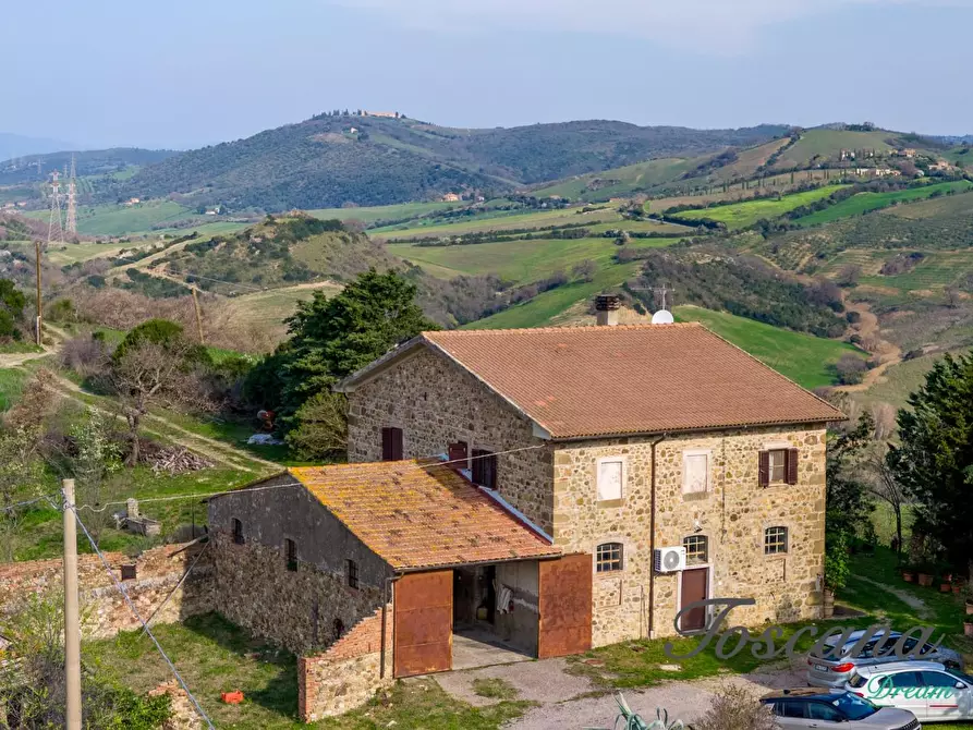 Immagine 2 di Casa colonica in vendita  a Campagnatico