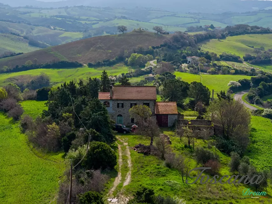 Immagine 14 di Casa colonica in vendita  a Campagnatico