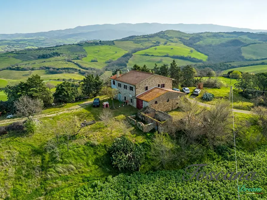 Immagine 5 di Casa colonica in vendita  a Campagnatico